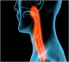 ENT (ear, nose and throat), Head & Neck Surgery - CR Doctors